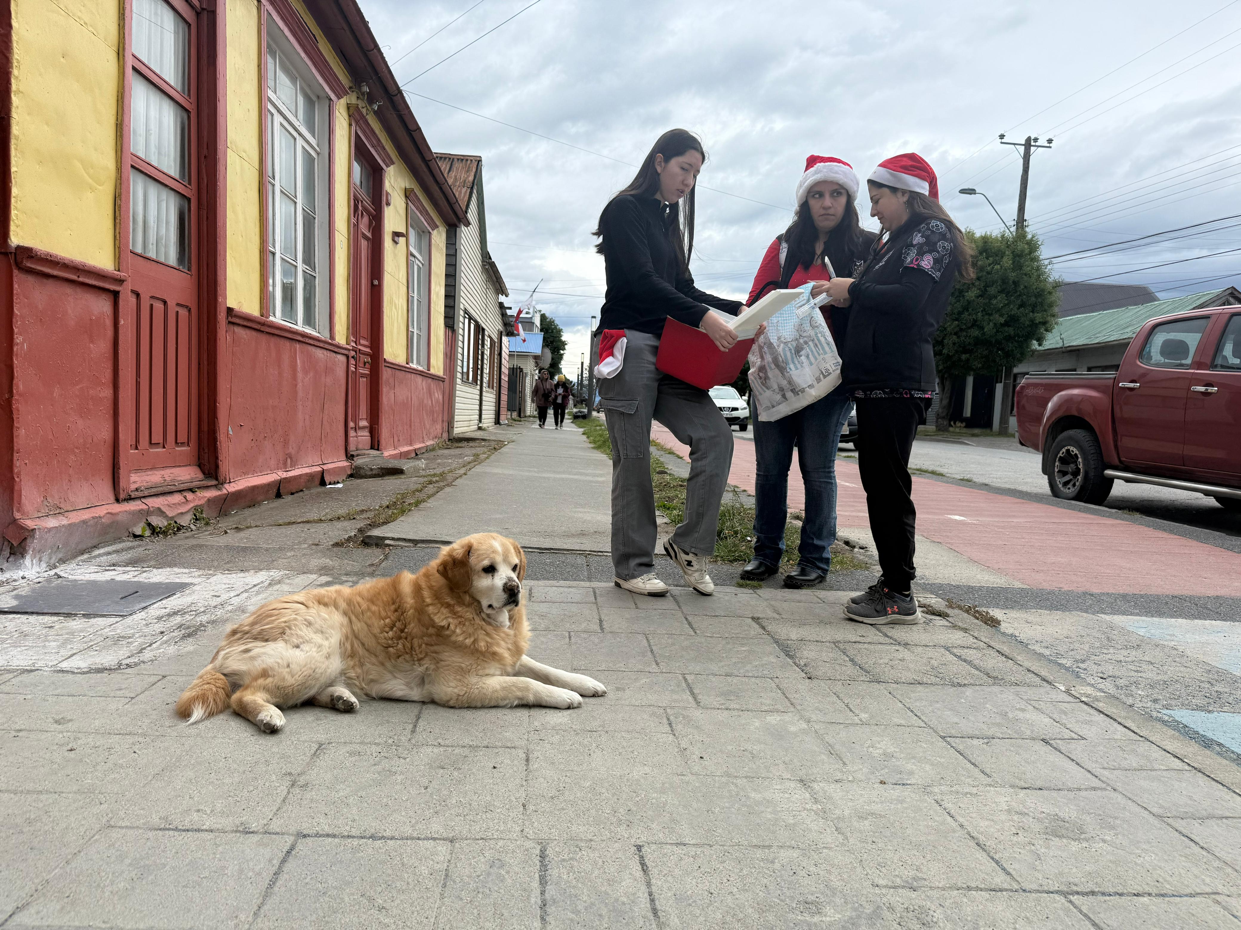 Voluntarias buscando los implementos