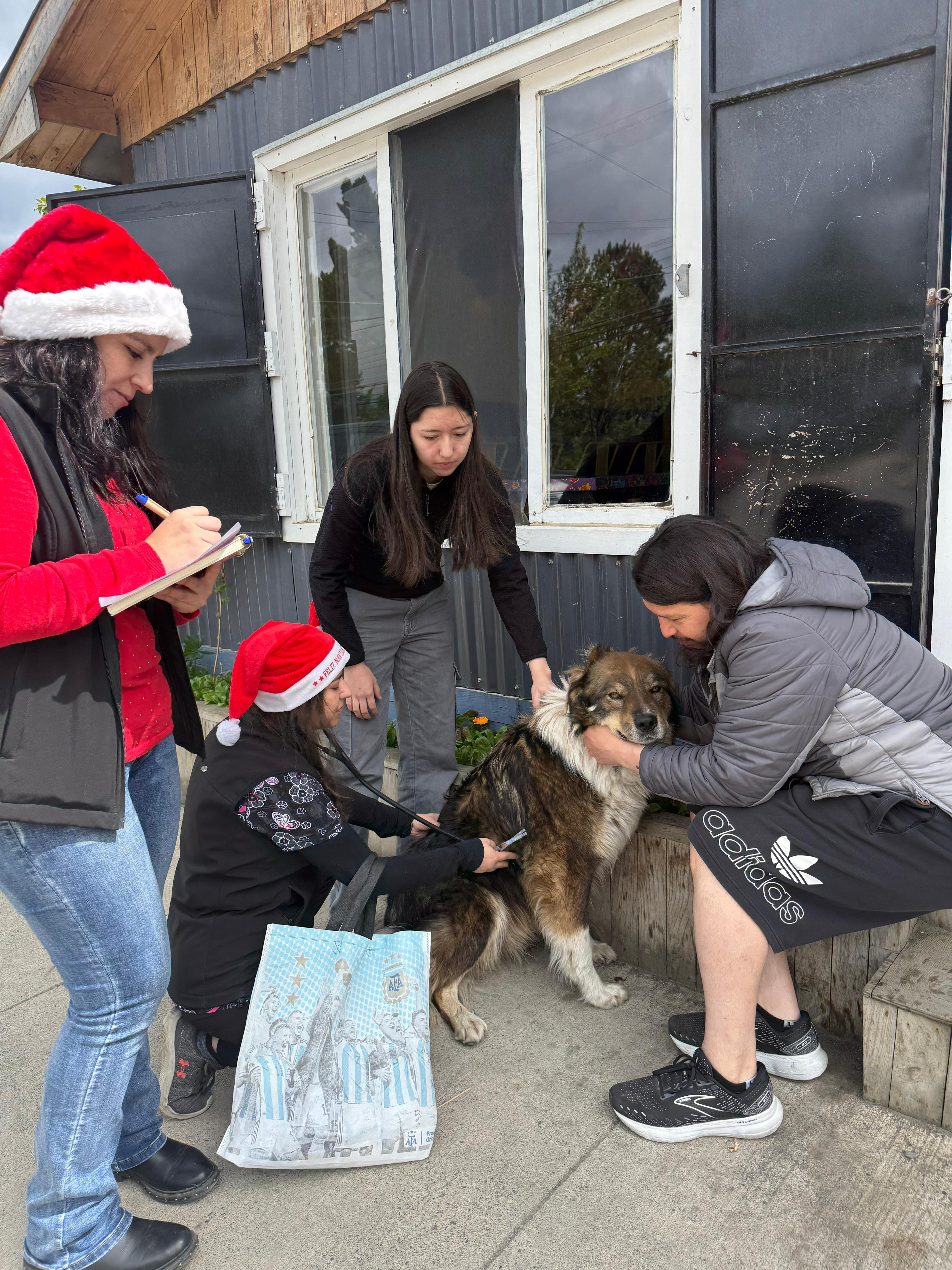 Voluntarios registrando datos de perritos cumunitarios